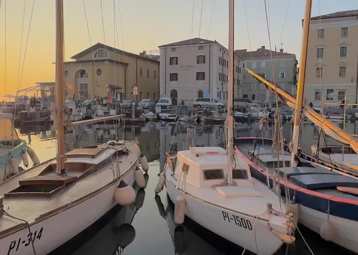 Apartma Riviera * 皮兰